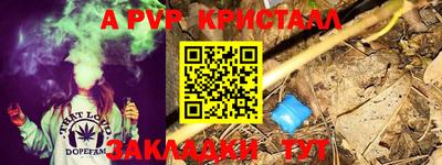 гашик Новокубанск