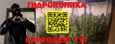 дживик Новозыбков