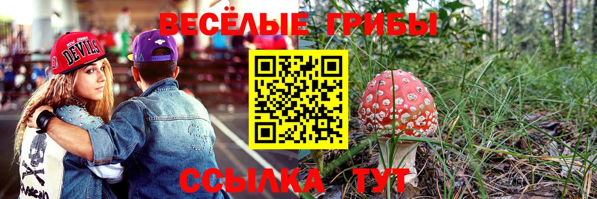 Псилоцибиновые грибы мицелий  Вход с VPN  Торжок 